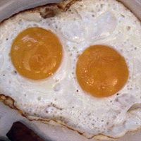 eggs