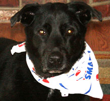 Shiva