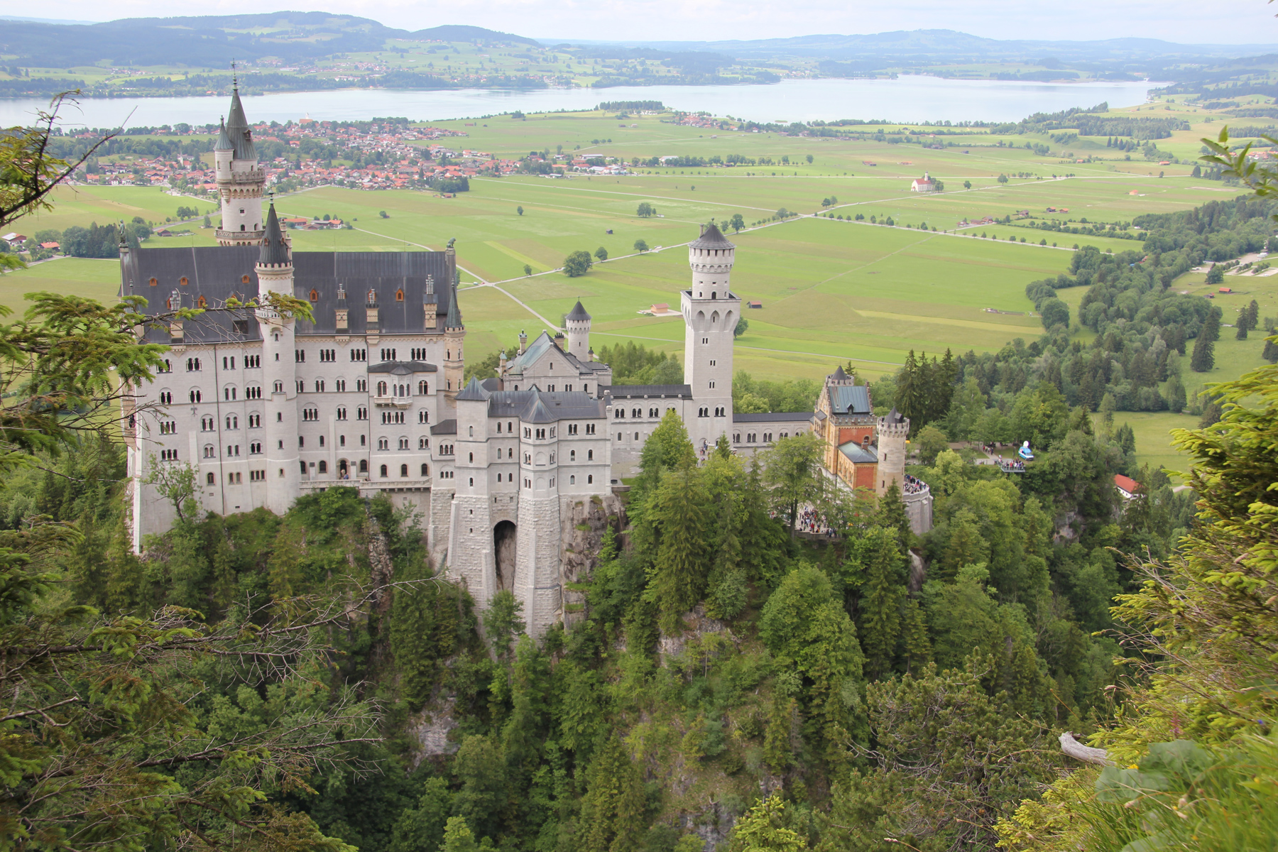 Bog Ass Castle