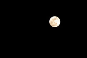 Vegas Moon