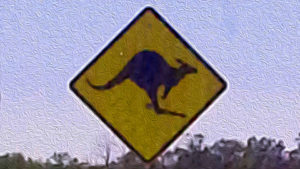 Roo Crossing